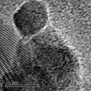 microscopic image